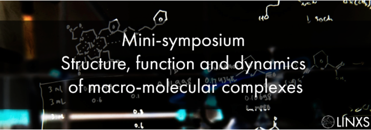 Mini-symposium: Structure, function and dynamics of macro-molecular complexes