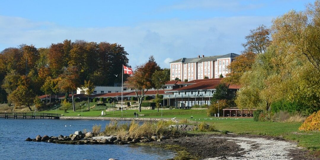 Summer school on biomedical image analysis – from acquisition to fairness and bias