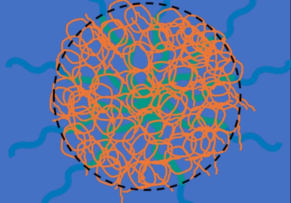 Unravelling the Internal Structure and Molecular Exchange Kinetics of Antibiotic Polymeric Nanoparticles