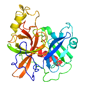 Structural studies of zonulin and its potential role in celiac disease and as biomarker in IBD