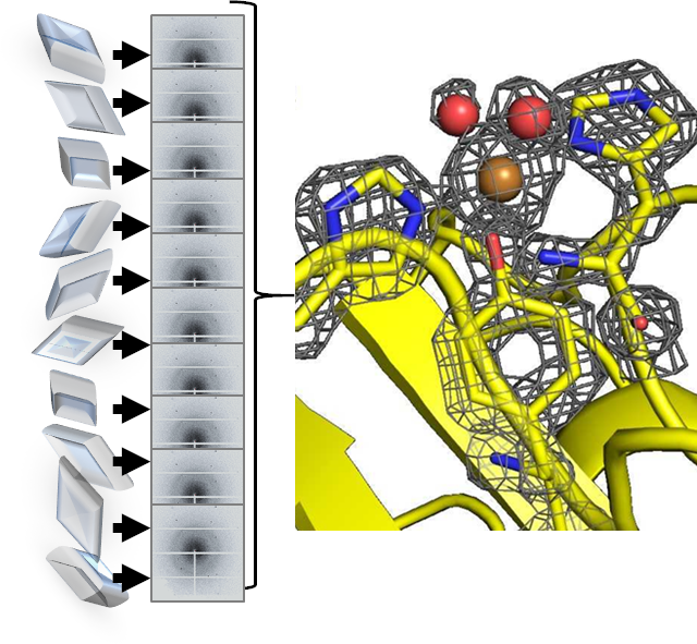 Towards time-resolved studies of the Lytic Polysaccharide Monooxygenase reaction