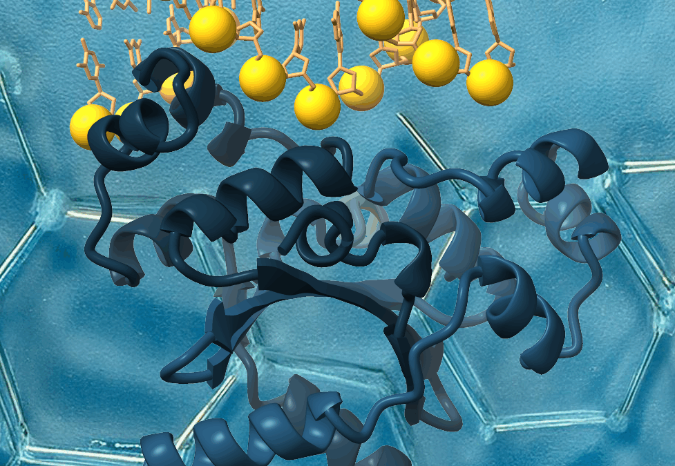 Understanding molecular basis for DNA recognition by bacterial Cro-domain proteins
