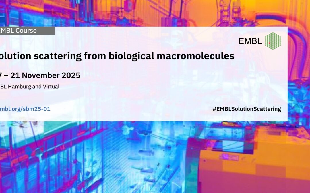 Solution scattering from biological macromolecules