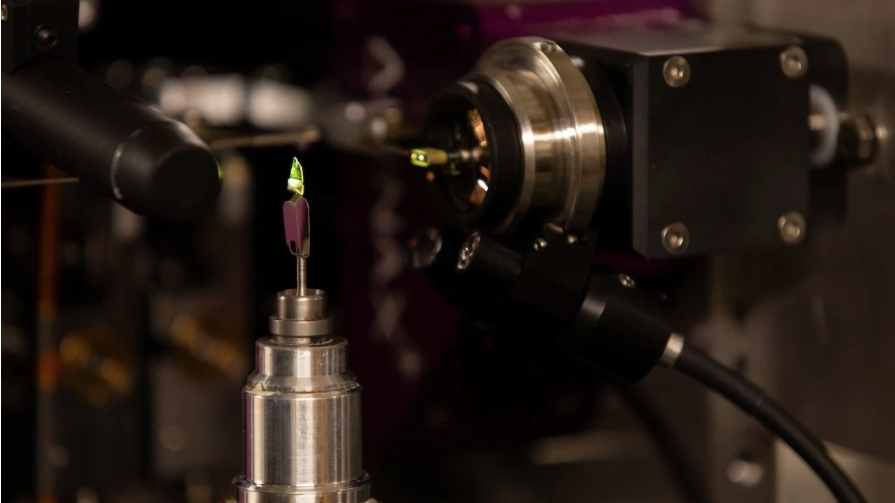 Scientific achievements through serial crystallography